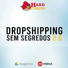 Capa: Baixar Rei do Drop: Curso Dropshipping Sem Segredos [Atualizado]