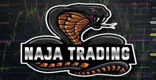 Capa: CURSO Naja Trader NTG: Baixar Conteúdo Completo Take Certo