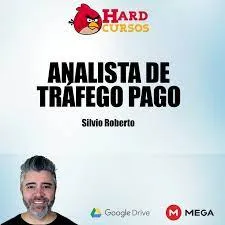 Capa: Baixar Analista de Tráfego Pago Silvio Roberto: Domine Campanhas e ROI