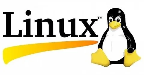Capa: Linux Completo: Baixar Curso Essencial para Devs e Usuários