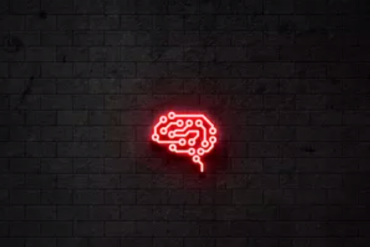 Biohack Academy Rodrigo Barbi: Curso Completo Download Alta Produtividade e Sucesso