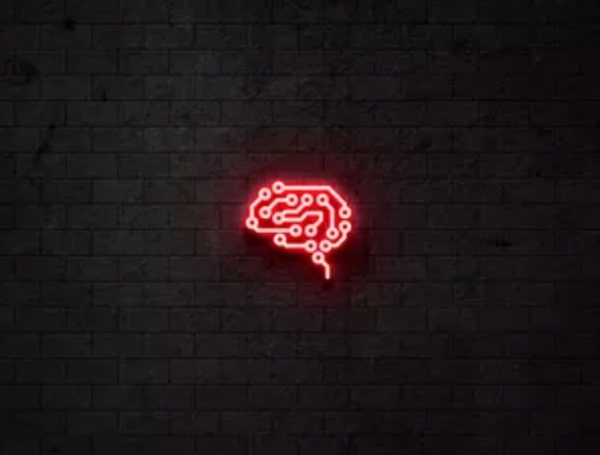 Biohack Academy Rodrigo Barbi: Curso Completo Download Alta Produtividade e Sucesso