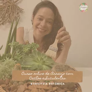 Close-up de um arranjo de suculentas vibrante em um vaso decorativo, com foco nas diferentes texturas e cores das plantas.