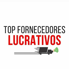 Pessoa analisando gráficos de lucro com logo do Top Fornecedores Lucrativos