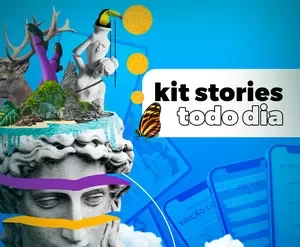 Kit Stories Todo Dia Carol Bastos download