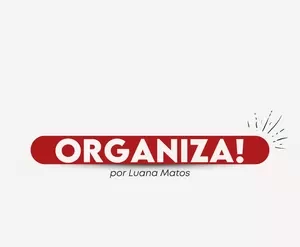 Organiza! Curso Luana Matos download