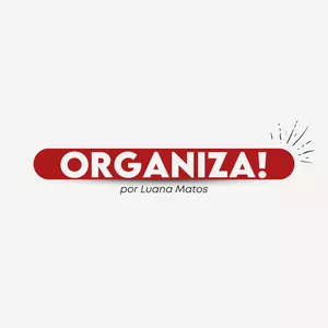 Organiza! Curso Luana Matos download