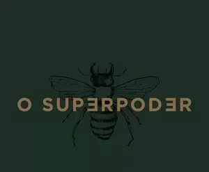 Curso Reels Super Poderoso Paulo Cuenca: Conteúdo de Valor e Alta Conversão no Instagram