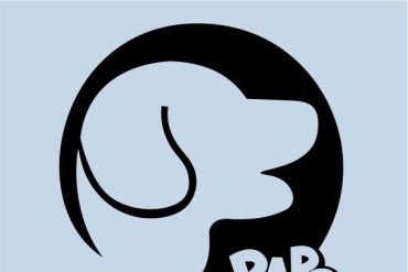 Filhote de cachorro adorável brincando com brinquedo em ambiente doméstico, com iluminação suave.