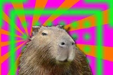 Capa do Curso CapivaraWeed com detalhes de cultivo e plantas.