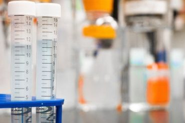 Manual do Jovem Pesquisador 2022: Guia Completo de Iniciação Científica