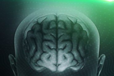Neuro-Produtividade: Ciência da Alta Performance com Dr. Frederico Porto - Curso Completo